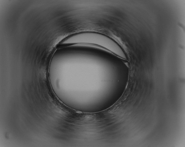 X0000091510060200709071003