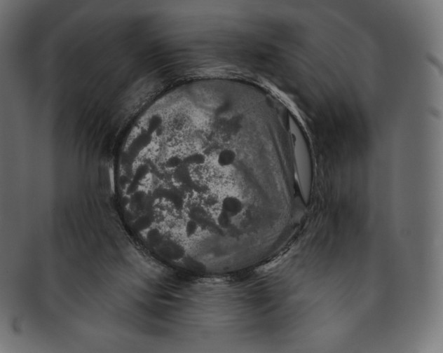 X0000091510061200709071003