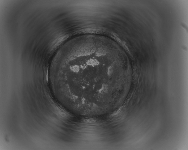 X0000091510062200709071003