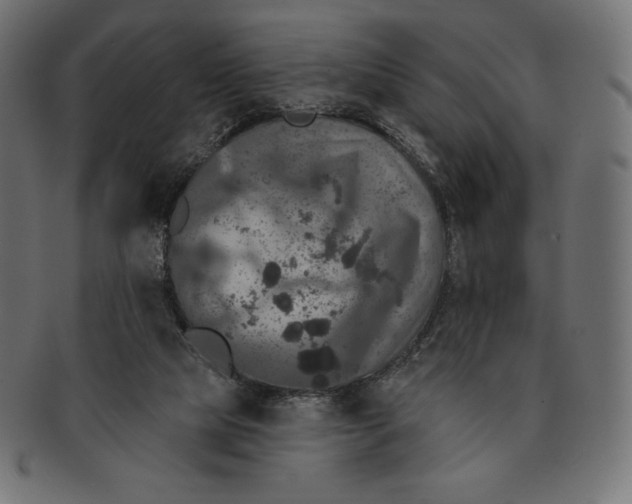 X0000091510065200709071003