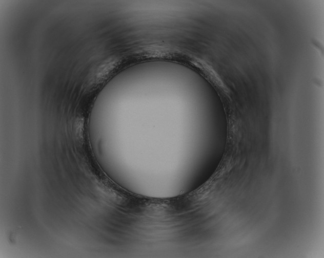 X0000091510066200709071003