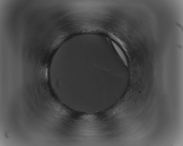 X0000091510067200709071003