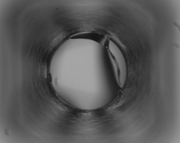 X0000091510068200709071003