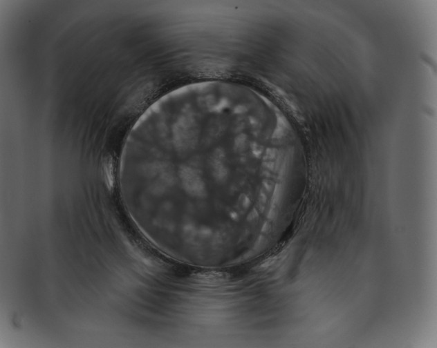 X0000091510069200709071003