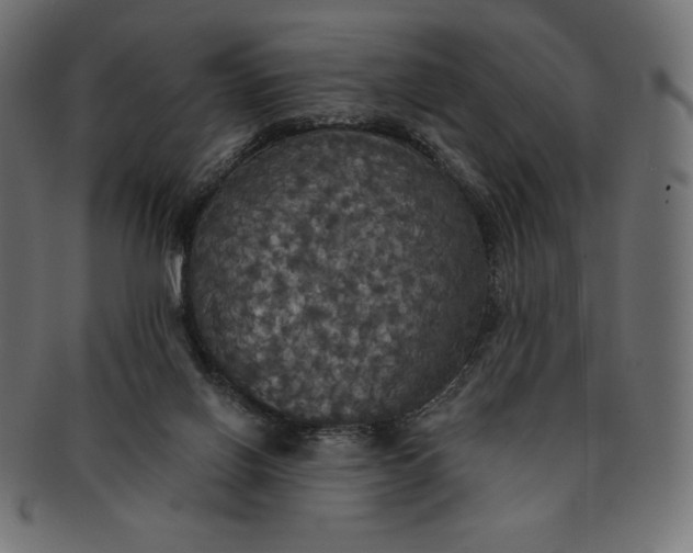 X0000091510070200709071003