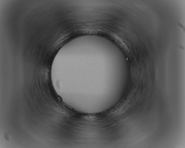 X0000091510071200709071003