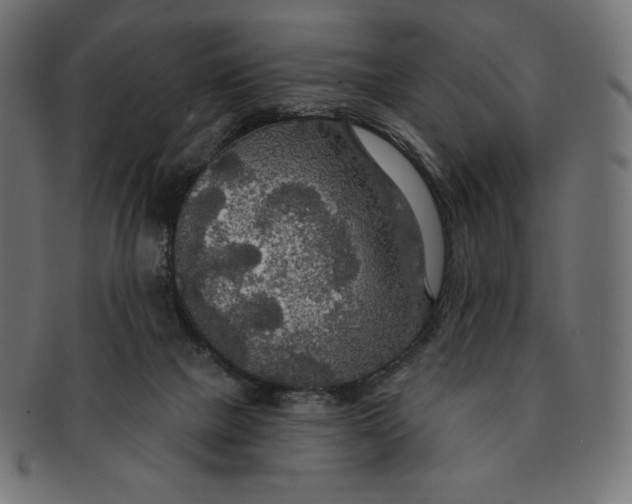 X0000091510073200709071003