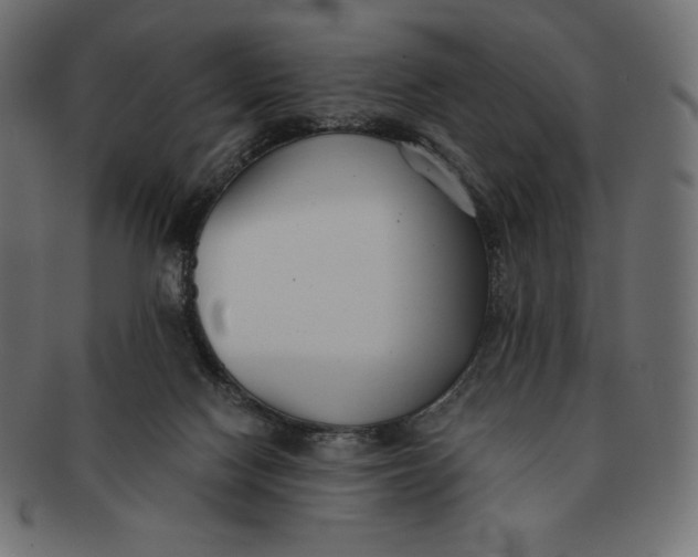 X0000091510074200709071003