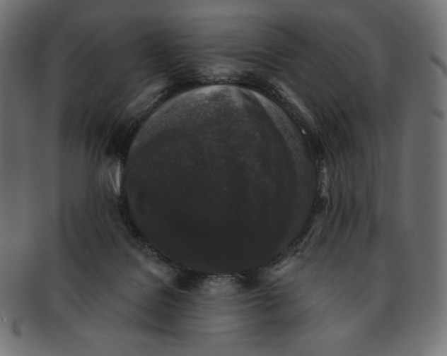 X0000091510076200709071003