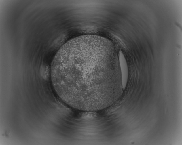 X0000091510077200709071003