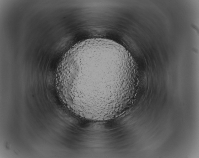 X0000091510078200709071004