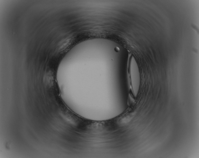 X0000091510080200709071004