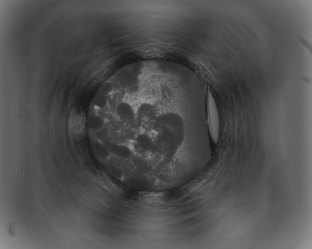 X0000091510081200709071004