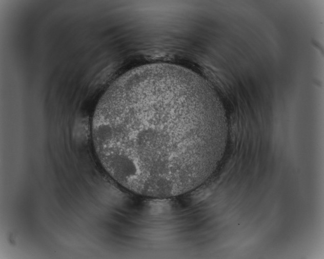 X0000091510085200709071004