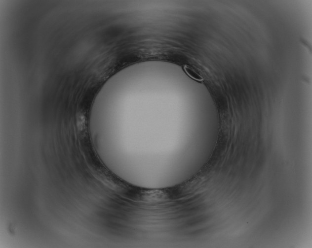 X0000091510087200709071004