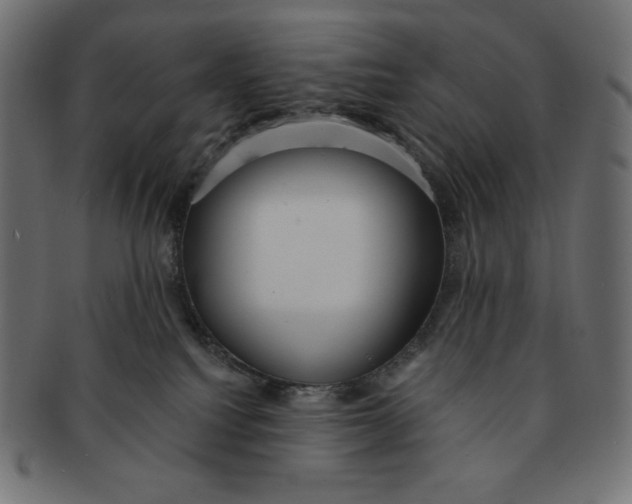 X0000091510088200709071004