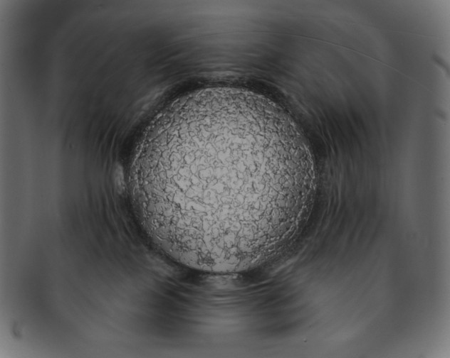 X0000091510089200709071004