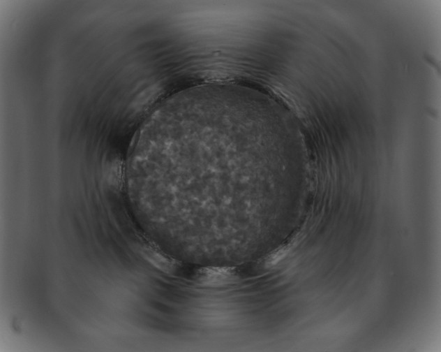 X0000091510093200709071004