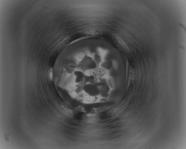 X0000091510095200709071004