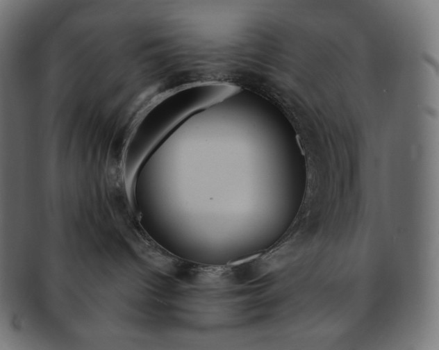 X0000091510096200709071004