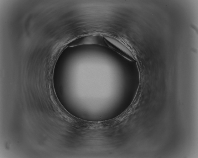 X0000091510097200709071003