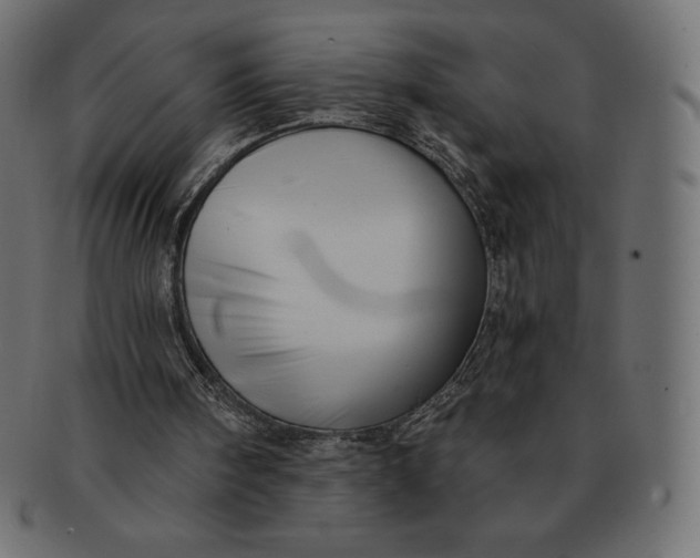 X0000091510098200709071003