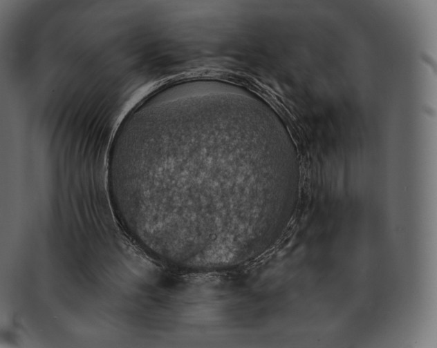 X0000091510100200709071003