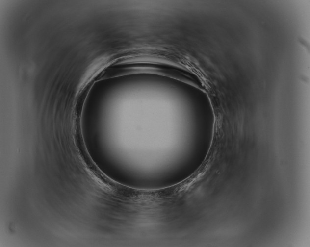 X0000091510101200709071003