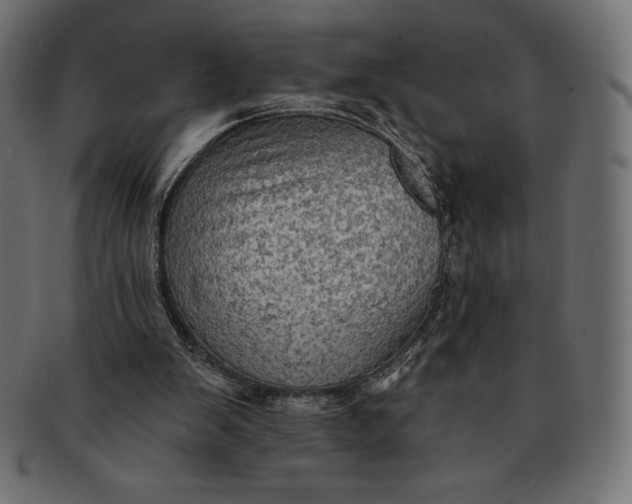 X0000091510103200709071003