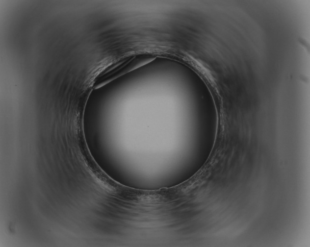 X0000091510105200709071003