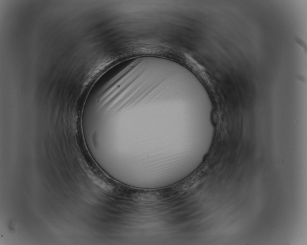 X0000091510106200709071003