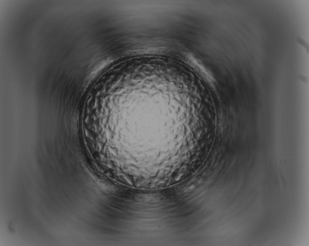 X0000091510107200709071003