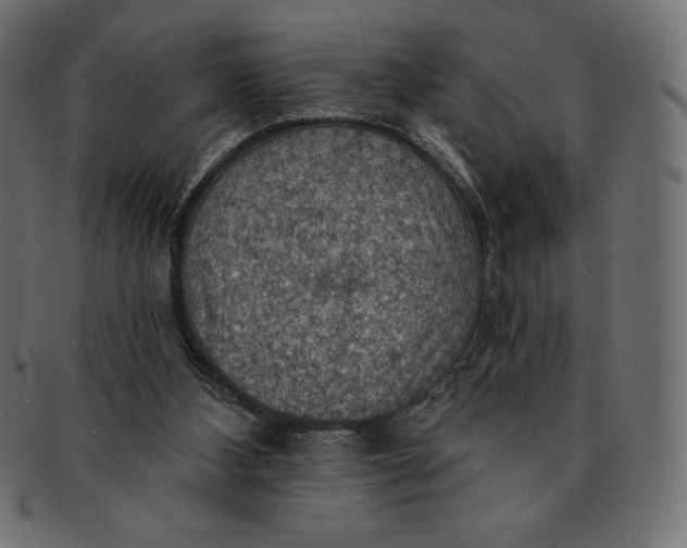 X0000091510108200709071003