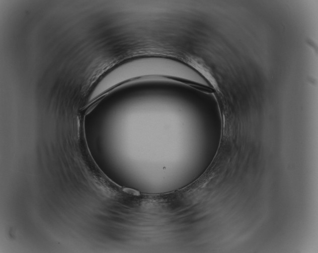 X0000091510109200709071003