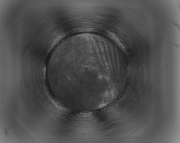 X0000091510110200709071003