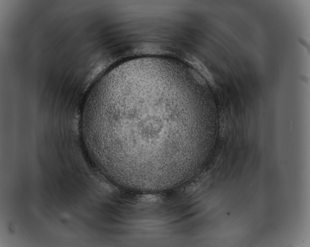 X0000091510111200709071003