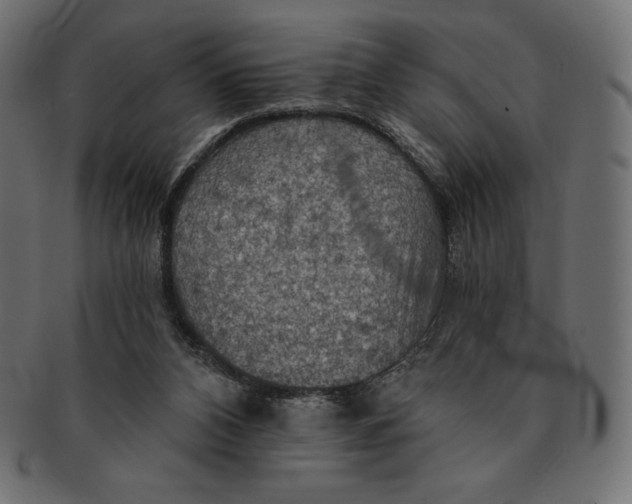 X0000091510112200709071003