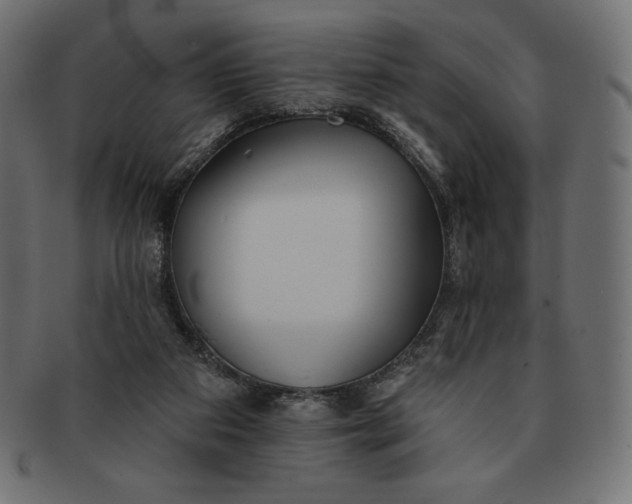 X0000091510113200709071003