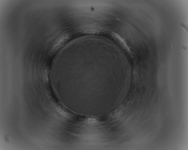 X0000091510114200709071003