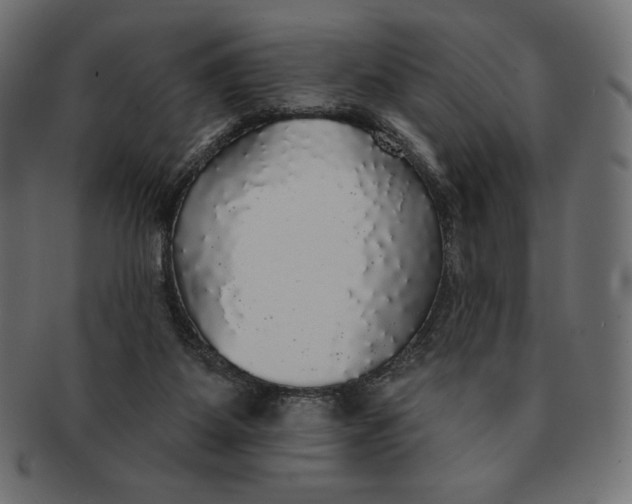 X0000091510115200709071003