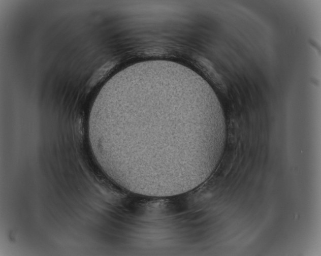 X0000091510116200709071003