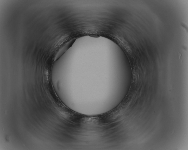 X0000091510117200709071003