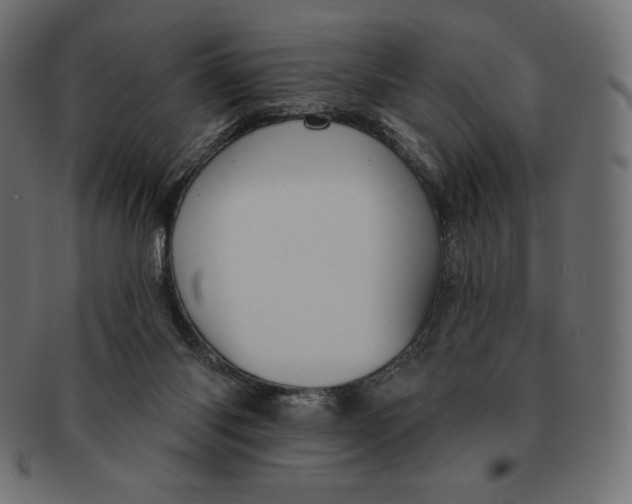 X0000091510118200709071003