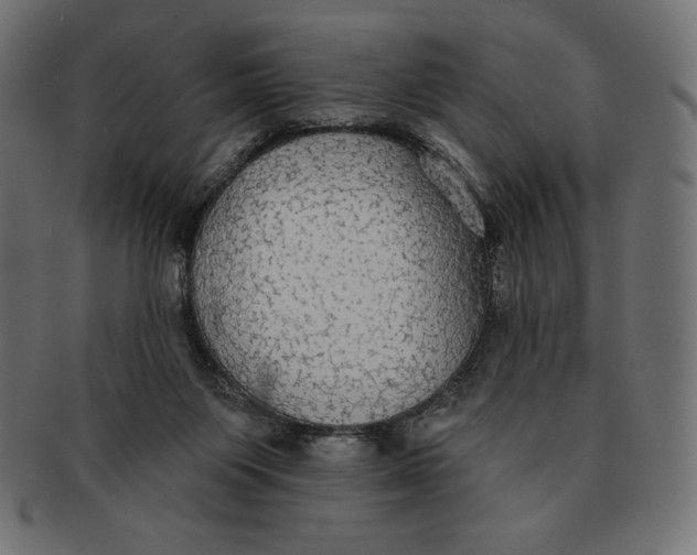 X0000091510119200709071003