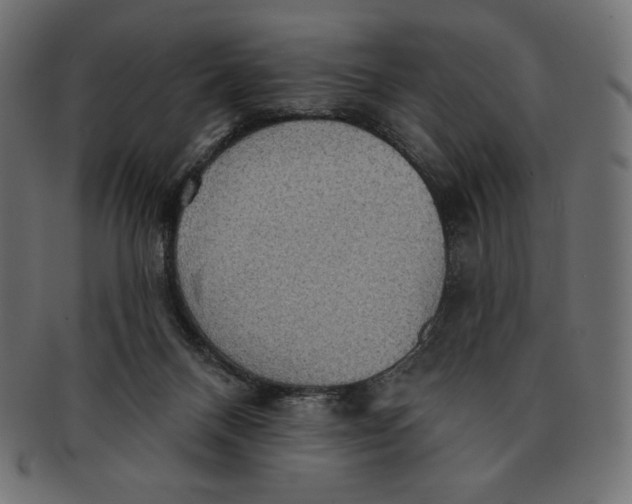 X0000091510120200709071003