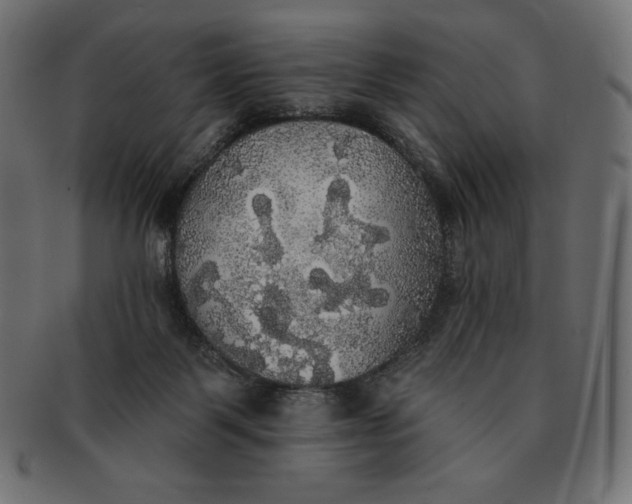 X0000091510123200709071003