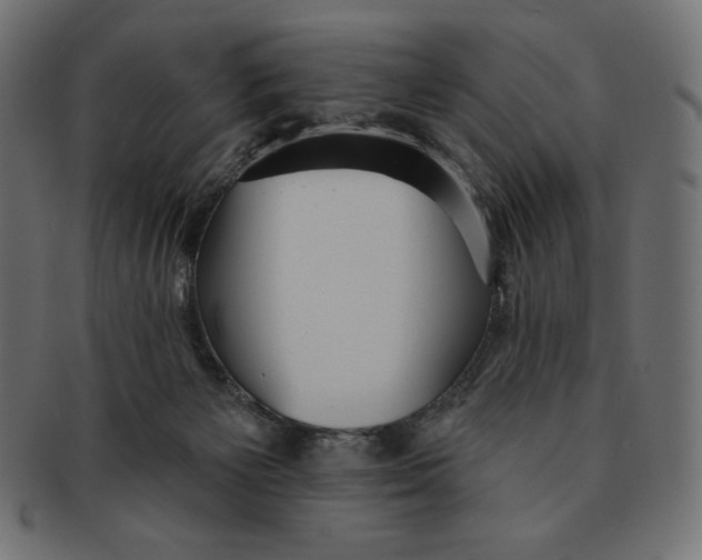 X0000091510125200709071003