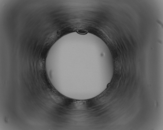 X0000091510126200709071003