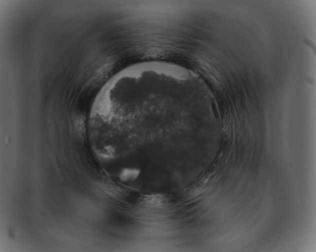 X0000091510127200709071003