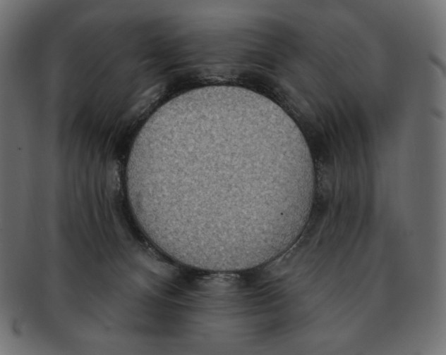 X0000091510128200709071003